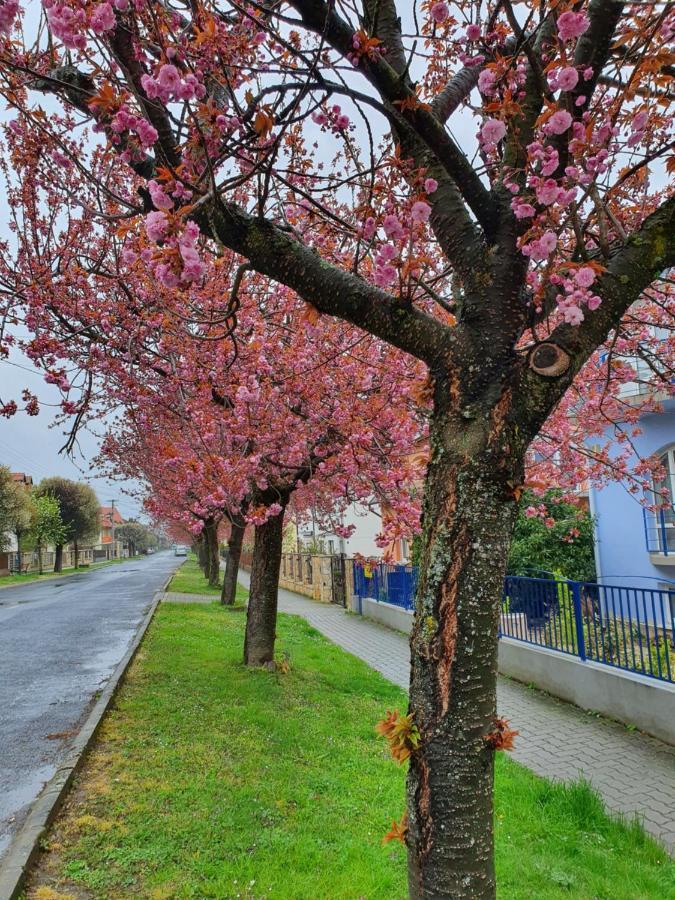 Laguna Apartmanhaz Hévíz Eksteriør bilde
